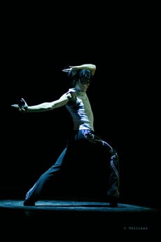 Rendez-Vous Chorégraphiques de Sceaux - Critique sortie Danse