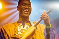 Bassekou Kouyate,le blues made in Mali - Critique sortie Jazz / Musiques