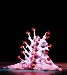 Casse-Noisette - Critique sortie Danse