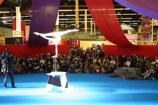 Salon mondial du cirque, deuxième édition ! - Critique sortie Danse