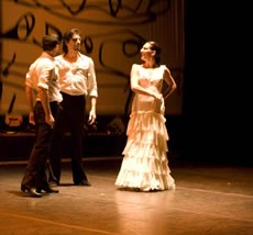 Flamenco se escribe con jota - Critique sortie Danse