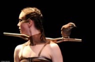 La Confidence des oiseaux - Critique sortie Danse