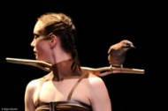 La Confidence des oiseaux - Critique sortie Danse