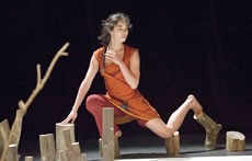 A l’ombre des arbres - Critique sortie Danse