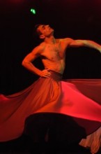 Dervish in Progress et What did you say ? - Critique sortie Danse