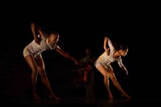 Bound et Southern Comfort - Critique sortie Danse