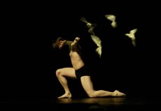 La Confidence des oiseaux - Critique sortie Danse