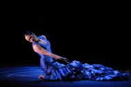 Temps fort Flamenco - Critique sortie Danse
