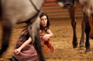 We were horses - Critique sortie Danse