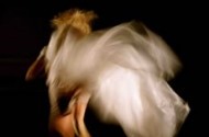 Les 41èmes Rencontres de Danse de la Toussaint - Critique sortie Danse