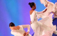 Succès chez les amateurs et quasi absence chez les professionnels - Critique sortie Danse