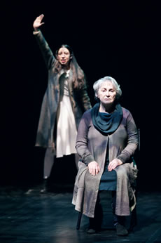 Palais de glace - Critique sortie Théâtre