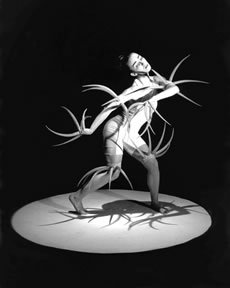 Prélude à l’après-midi d’un faune et Le Sacre du printemps - Critique sortie Danse