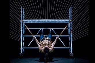 Snakeskins - Critique sortie Danse