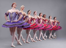 Vaison Danses - Critique sortie Danse