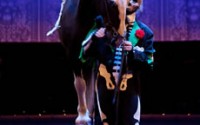 Les Nuits de Fourvière - Critique sortie Théâtre