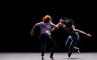 Tiger Tiger Burning Bright - Critique sortie Danse Créteil Maison des Arts de Créteil