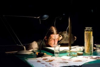 Si vous désespérez un singe, vous ferez exister un singe désespéré, Smatch (1) - Critique sortie Avignon / 2013 Avignon Théâtre des Doms