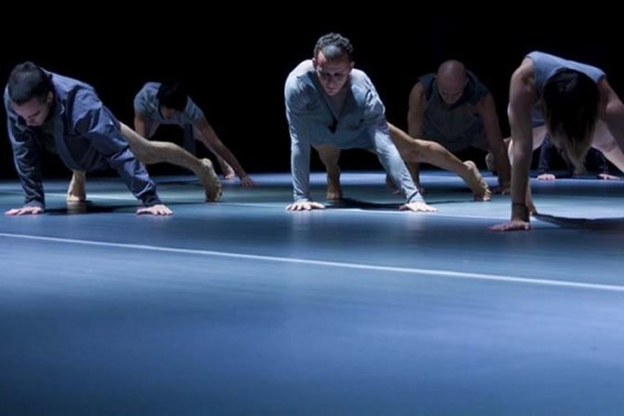 Dança em Trânsito France - Critique sortie Danse Paris Atelier de Paris