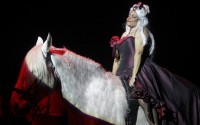 Cirque équestre - Critique sortie Cirque Saint-Lô Haras national