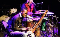 Festival Africolor - Critique sortie Jazz / Musiques Essonne