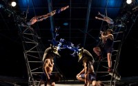 cirque grand format - Critique sortie 