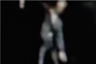 Two Dreams / To dream with Pina - Critique sortie Avignon / 2015 Avignon Galerie Les Plumes du Paon