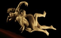 Le Cantique des Cantiques - Critique sortie Danse Suresnes THEATRE JEAN VILAR-SURESNES