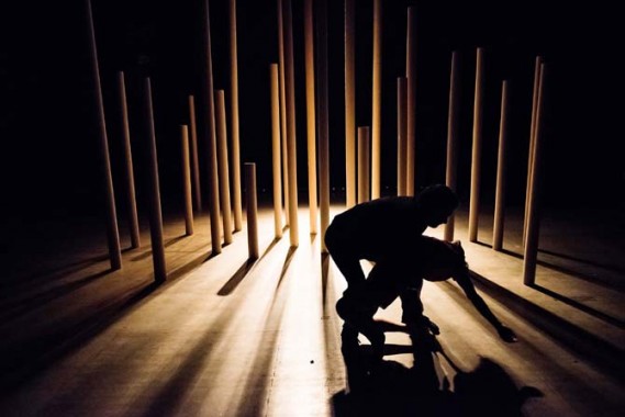 Les Multipistes - Critique sortie Cirque Douai Douai Hippodrome