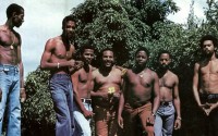 Les Vikings de la Guadeloupe - Critique sortie Jazz / Musiques Pierrefitte-sur-Seine Maison du peuple