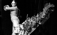 Arte Flamenco - Critique sortie Danse Mont-de-Marsan
