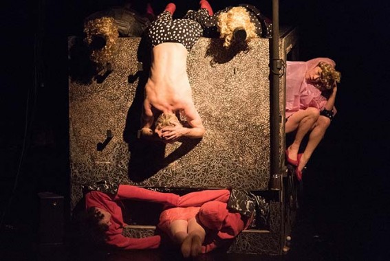 Dans le ventre de la ballerine - Critique sortie Théâtre Paris Le Monfort