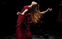 Arte Flamenco - Critique sortie Danse Mont-de-Marsan Boutique Culture