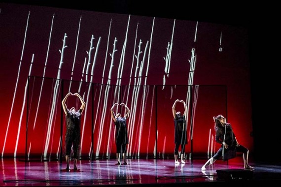 Focus Austral - Critique sortie Danse Paris Chaillot - Théâtre national de la danse