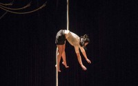 Poste Vacant - Critique sortie Avignon / 2017 Avignon Avignon Off. Occitanie fait son cirque en Avignon. Ile Piot