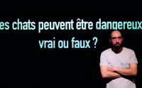 #Vérité - Critique sortie Théâtre DIJON Théâtre Dijon Bourgogne - Centre Dramatique National