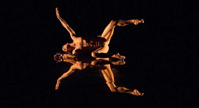 Viva Momix Forever - Critique sortie Danse Paris Théâtre des Champs-Élysées