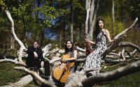 Trio Con Brio Copenhagen - Critique sortie Classique / Opéra Paris Théâtre des Abbesses