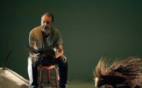 Les Âmes offensées - Critique sortie Théâtre Marseille La Criée - Théâtre National de Marseille