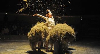 Bestias - Critique sortie Théâtre Paris Théâtre Firmin Gémier – La Piscine