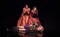 Comme il vous plaira - Critique sortie Théâtre Bordeaux Théâtre National de Bordeaux en Aquitaine
