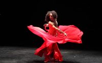 Le Printemps de la danse arabe #0 - Critique sortie Danse Paris INSTITUT DU MONDE ARABE