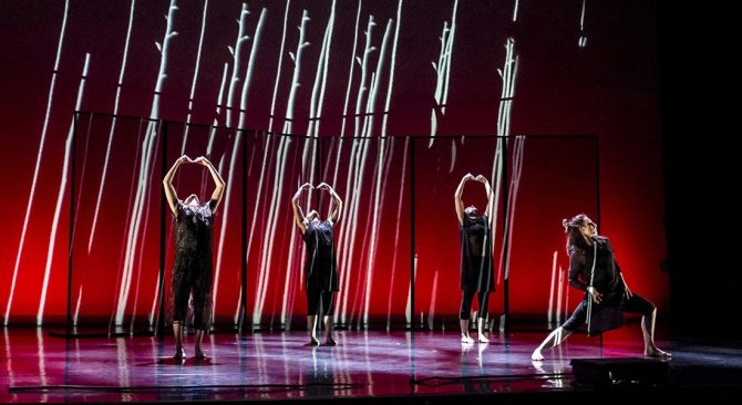 Focus Austral - Critique sortie Danse Paris Chaillot - Théâtre national de la danse