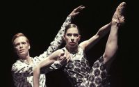 Montpellier Danse - Critique sortie Danse Montpellier