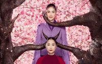 Sous les fleurs de la forêt de cerisiers - Critique sortie Théâtre Paris Chaillot - Théâtre national de la danse