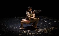 Phasmes - Critique sortie Avignon / 2018 Avignon Avignon Off. Les Hivernales CDCN