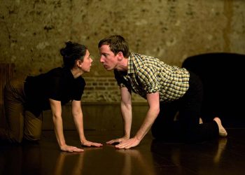 Les Déclinaisons de la Navarre - Critique sortie Danse Fosses Espace Germinal