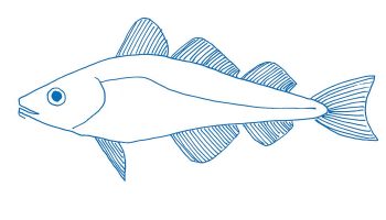 De la Morue, Cartographie 6 de Frédéric Ferrer - Critique sortie Théâtre Montigny-le-Bretonneux Théâtre de Saint-Quentin-en-Yvelines