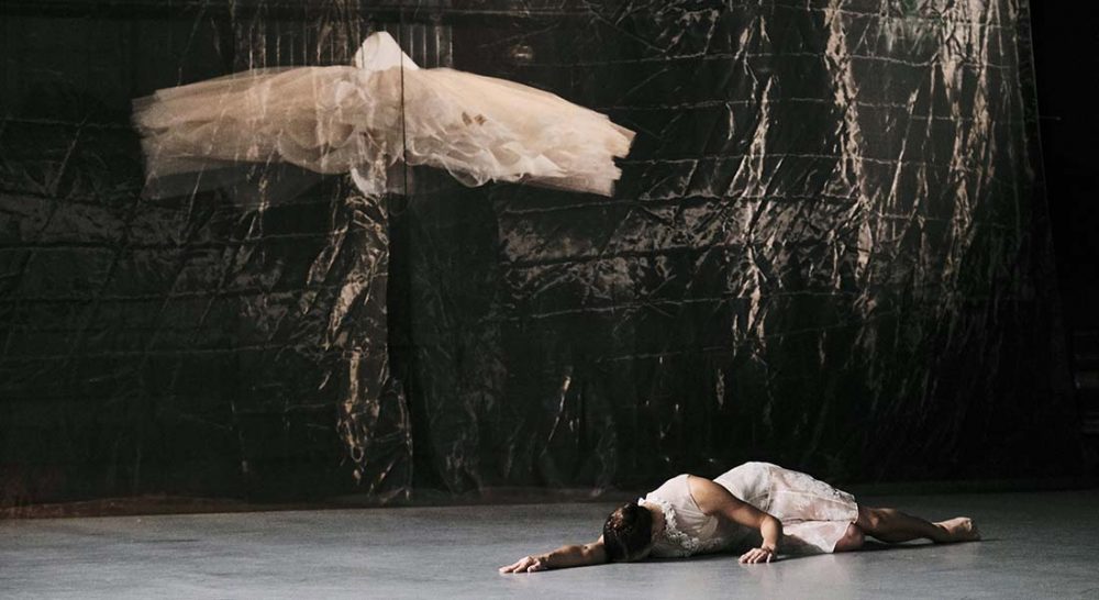 Le Lac des Cygnes du chorégraphe tunisien Radhouane El Meddeb - Critique sortie Danse Paris Chaillot - Théâtre national de la danse
