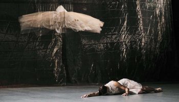 Le Lac des Cygnes du chorégraphe tunisien Radhouane El Meddeb - Critique sortie Danse Paris Chaillot - Théâtre national de la danse